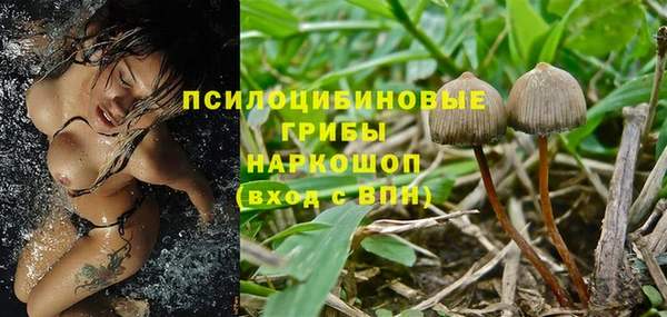 кокс Алексеевка