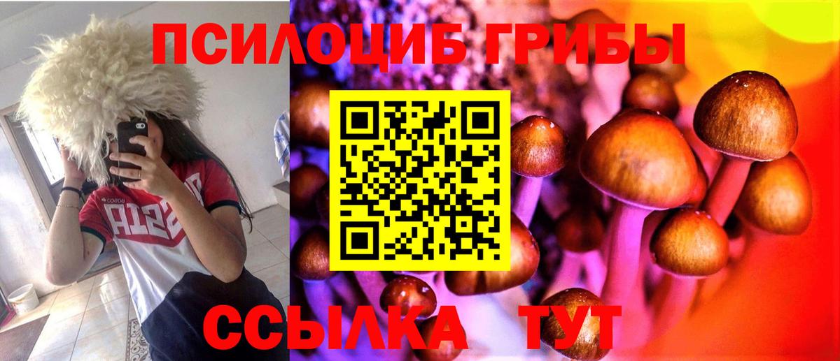 Псилоцибиновые грибы Psilocybe Сухой Лог