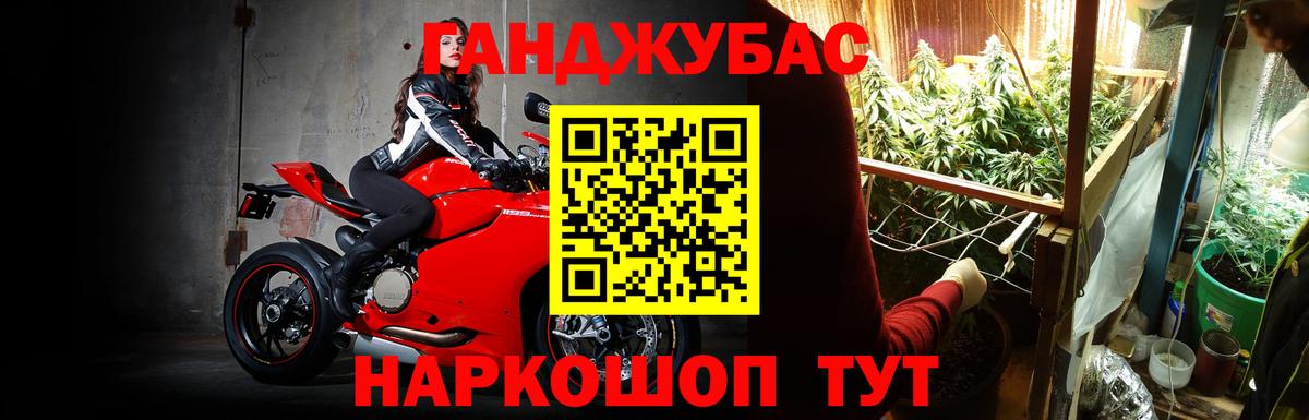 Бошки марихуана сатива  Канабис планчик  Канабис план  Сухой Лог  Вход с VPN 